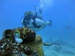 Hawaii Scuba divng 79