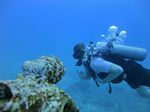 Hawaii Scuba divng 83