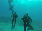 Hawaii Scuba divng 10