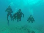 Hawaii Scuba divng 14