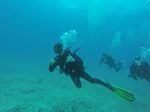 Hawaii Scuba divng 15