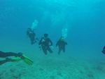 Hawaii Scuba divng 16