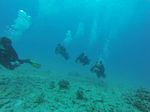 Hawaii Scuba divng 17