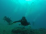 Hawaii Scuba divng 19