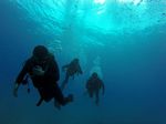 Hawaii Scuba divng 21