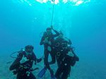 Hawaii Scuba divng 23