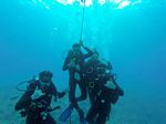 Hawaii Scuba divng 23