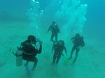 Hawaii Scuba divng 29