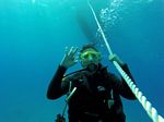 Hawaii Scuba divng 31