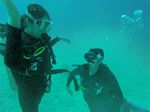 Hawaii Scuba divng 42