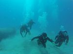 Hawaii Scuba divng 47