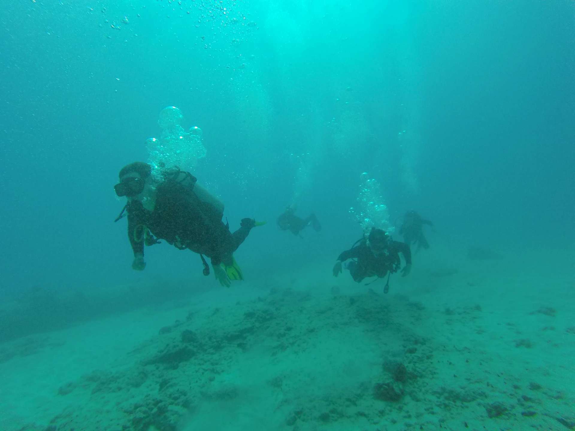 Hawaii Scuba Diving - 01-03-2016