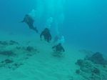 Hawaii Scuba divng 52