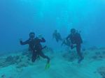 Hawaii Scuba divng 54