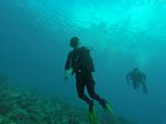 Hawaii Scuba divng 56