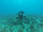 Hawaii Scuba divng 57