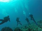 Hawaii Scuba divng 59