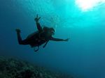 Hawaii Scuba divng 61