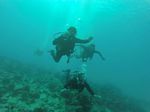 Hawaii Scuba divng 62