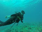 Hawaii Scuba divng 65