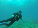 Hawaii Scuba divng 66
