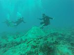 Hawaii Scuba divng 69