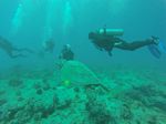 Hawaii Scuba divng 71