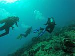 Hawaii Scuba divng 76