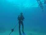 Hawaii Scuba divng 07
