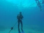 Hawaii Scuba divng 07