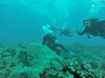 Hawaii Scuba divng 82