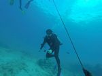 Hawaii Scuba divng 08