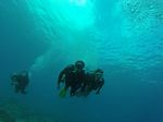 Hawaii Scuba divng 92