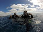 Hawaii Scuba divng 97