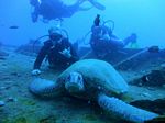 Hawaii Scuba divng 12