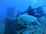 Hawaii Scuba divng 21