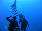 Hawaii Scuba divng 22