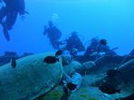 Hawaii Scuba divng 26