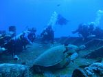 Hawaii Scuba divng 27