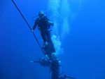 Hawaii Scuba divng 29