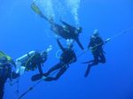 Hawaii Scuba divng 32