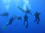 Hawaii Scuba divng 33