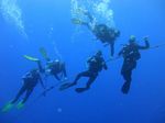 Hawaii Scuba divng 34