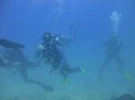 Hawaii Scuba divng 49