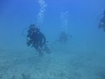 Hawaii Scuba divng 63