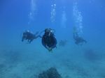 Hawaii Scuba divng 65