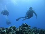 Hawaii Scuba divng 68