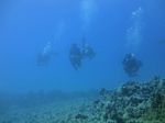 Hawaii Scuba divng 72