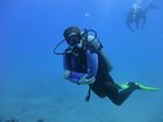 Hawaii Scuba divng 75