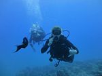 Hawaii Scuba divng 76